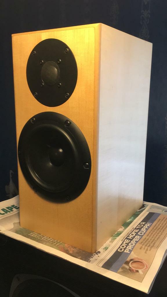 totem rainmaker speakers for sale